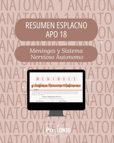 Esplacnología: Resumen APO 18