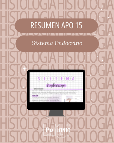 APO 15: Sistema endocrino