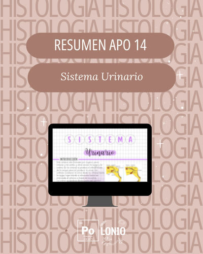 APO 14: Sistema urinario