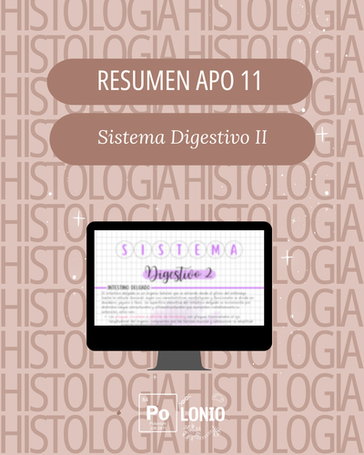 APO 11: Digestivo II 