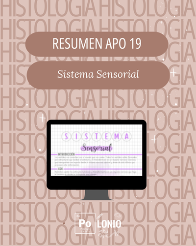 APO 19: Sistema sensorial
