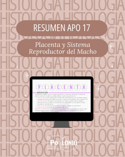 APO 17: Placenta y sistema reproductor del macho