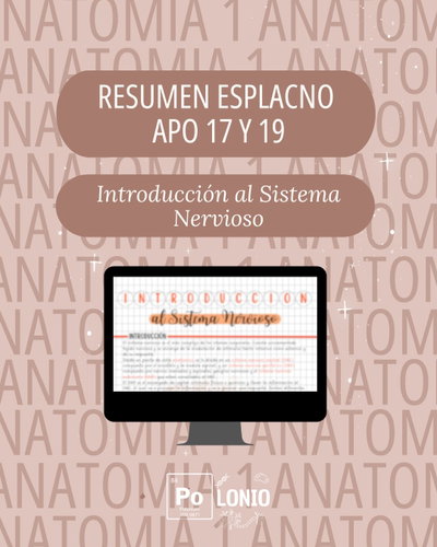 Esplacnología: Resumen APO Sistema nervioso central