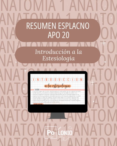 Esplacnología: Resumen APO Estesiologia