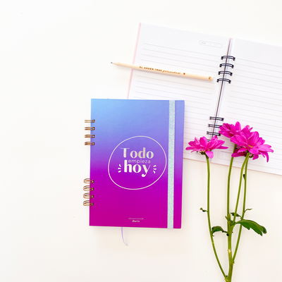 ORGANIZADOR DIARIO SIN FECHA violeta y celeste
