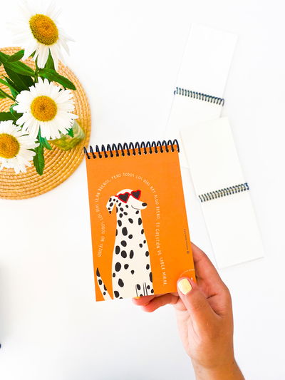 SABER MIRAR DALMATA - Libreta A6