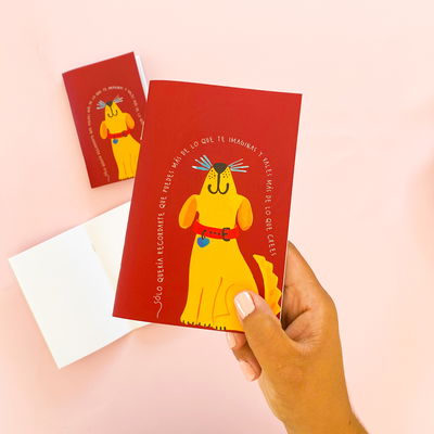 PUEDES MAS - Miniflexi A6