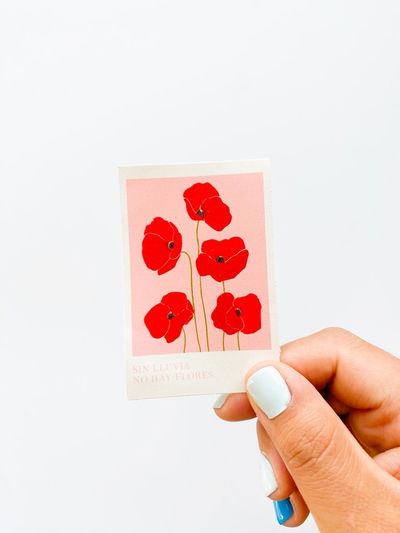 Sin lluvia no hay flores - sticker