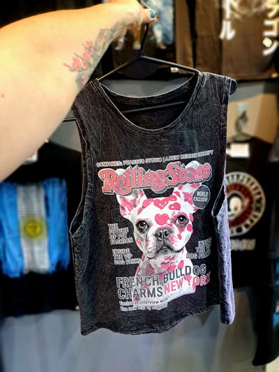 45cm Musculosa Nevada Bulldog Francés