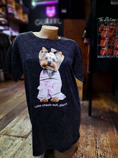 Remerón II Perro Late Check Out