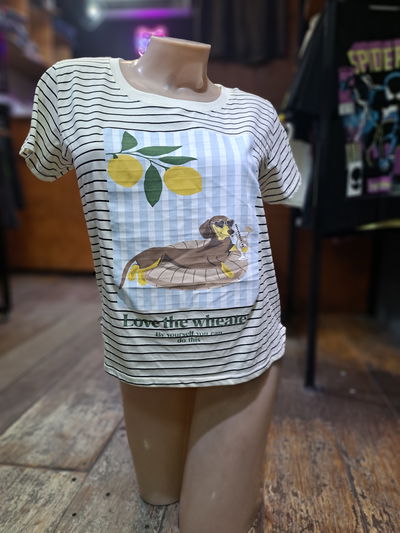 50cm Remera Rayada Crema Perro Salchicha Weather