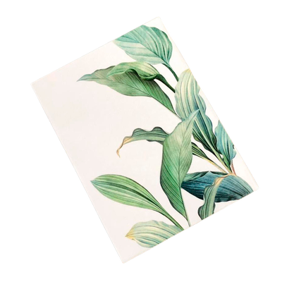 Cuadro De Apoyo y De Pared NATURAL 15x20