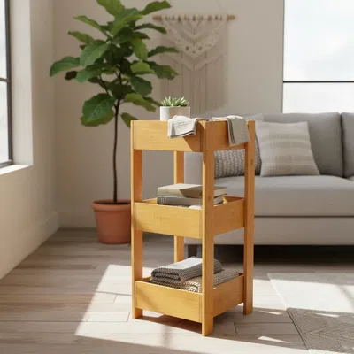 Organizador 3 pisos 20x30x70