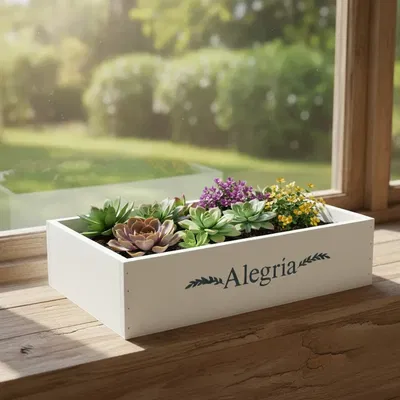 Cajon Organizador Madera Blanco 40x30x10