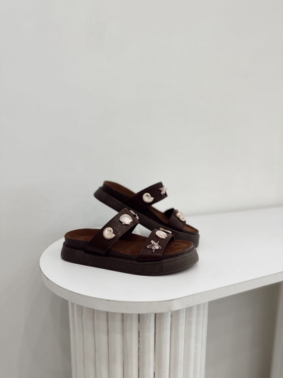 Carola Chocolate