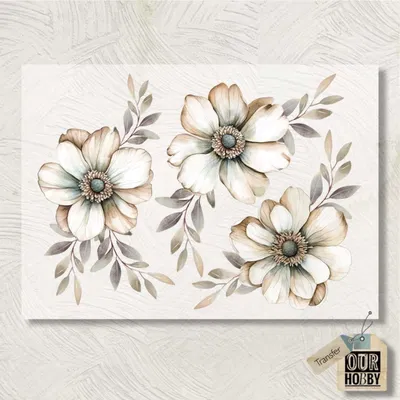 Transfolex color 150 (x unidad) 