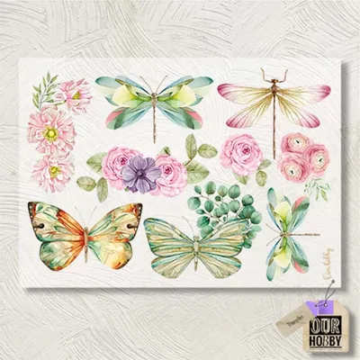Transfolex color 005 (x unidad) 