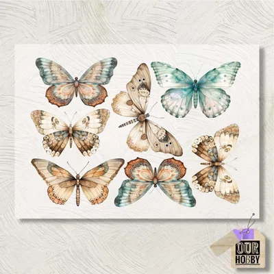 Transfolex color 082 (x unidad) 