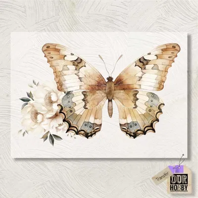 Transfolex color 072 (x unidad) 