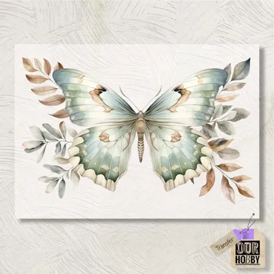 Transfolex color 077 (x unidad) 