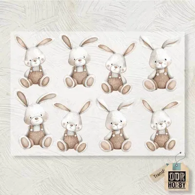 Transfolex color 316 (x unidad) 