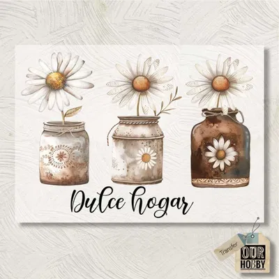 Transfolex color 152 (x unidad) 