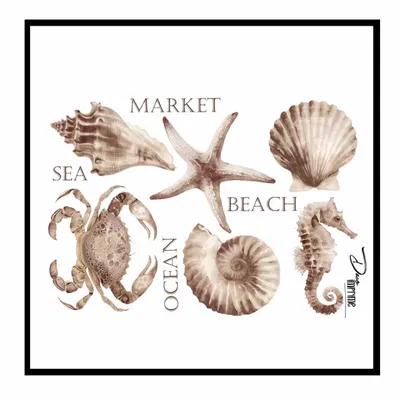 Transfolex color DECOI015 (x unidad) 