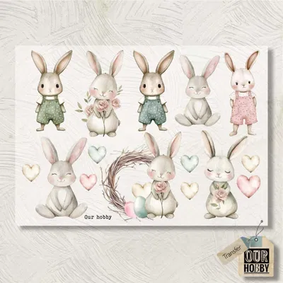 Transfolex color 215 (x unidad) 