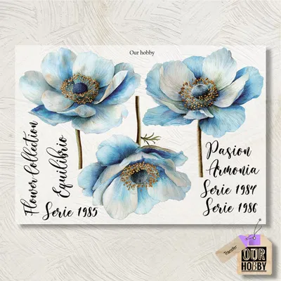 Transfolex color 272 (x unidad) 