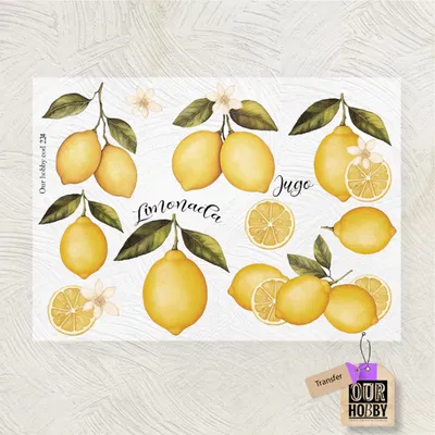 Transfolex color 234 (x unidad) 