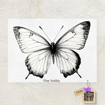 Transfolex color 249 (x unidad) 