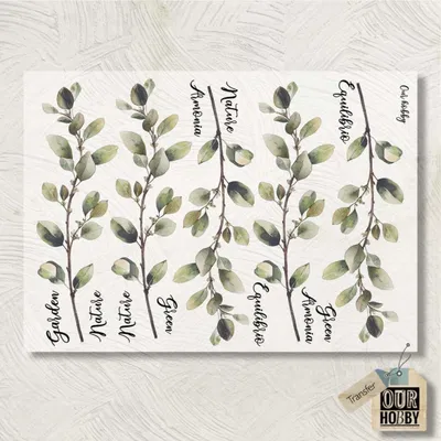 Transfolex color 156 (x unidad) 