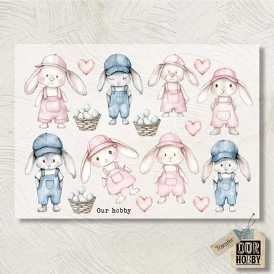 Transfolex color 219 (x unidad) 