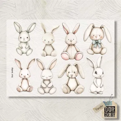 Transfolex color 218 (x unidad) 