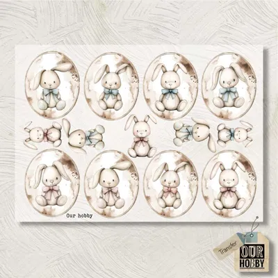 Transfolex color 209 (x unidad) 