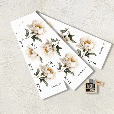 Transfer UV 080 (x unidad)