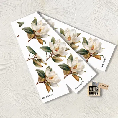 Transfer UV 079 (x unidad)