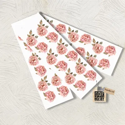 Transfer UV 088 (x unidad)