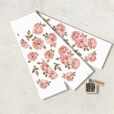 Transfer UV 075 (x unidad)