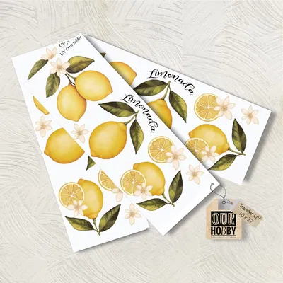 Transfer UV 074 (x unidad)