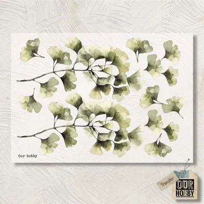 Transfolex color 158 (x unidad) 