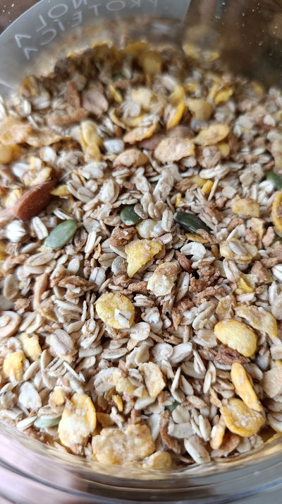 Granola proteíca "Granomax"