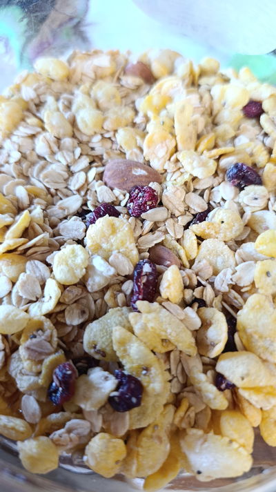 Granola con arándanos "Arfur"