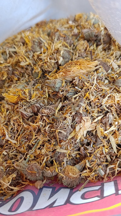 Cálendula en flores