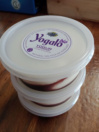 Yogurt griego con pulpa de frutas "Yogalo bio"