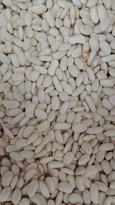 Porotos alubias medianos