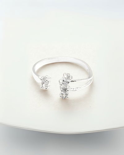 Anillo Luna