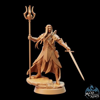Elf Spellblade - Elfo Hechicero - Maxs Magnificent Minis