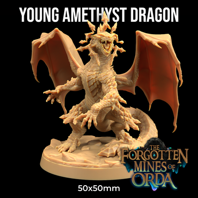 Young Amethyst Dragon - Forgotten Mines of Orda