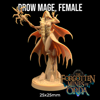 Drow Mage (Female) - Forgotten Mines of Orda